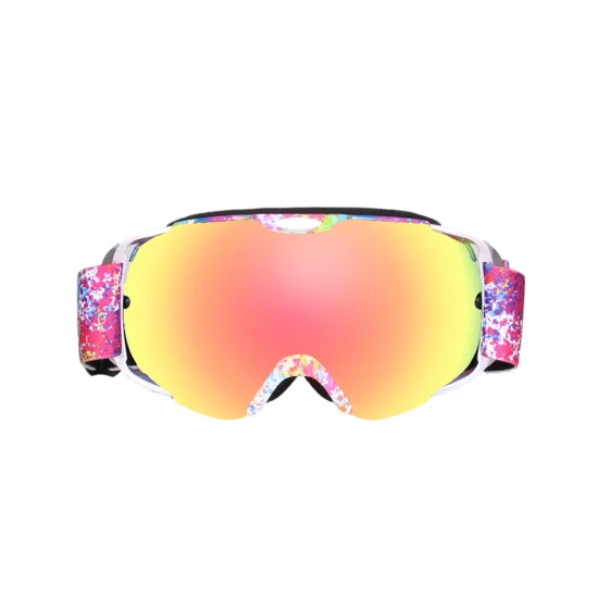 Lunettes de ski Spherical Anti