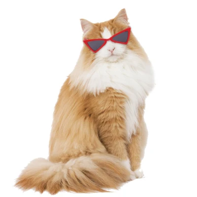 Spot lunettes pour animaux de compagnie chat chien lunettes de soleil Teddy personnalité drôle couvre-chef accessoires pour animaux de compagnie